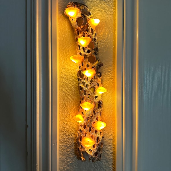 Handgefertigte Gold Wandbehang Cholla LED Pilzlampe (13-15 "hoch)