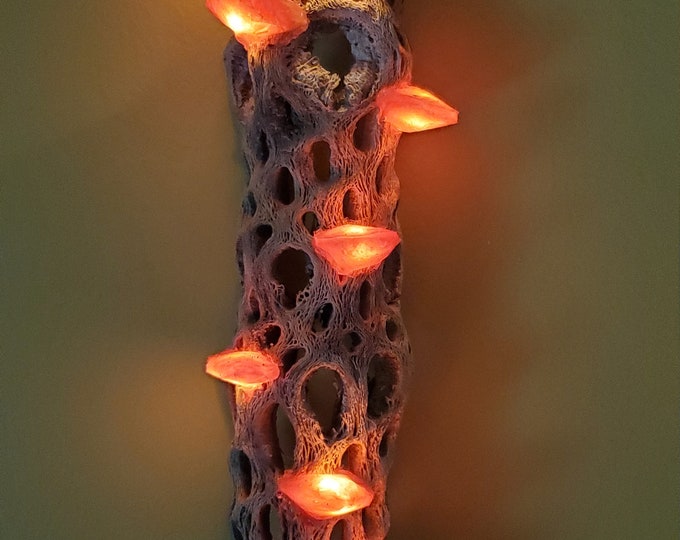 Handmade Copper Wall Hanging Cholla LED Mushroom Lamp (13-15" tall)