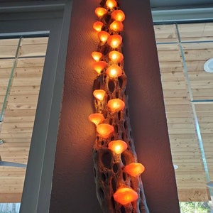 Handmade 18-20" Copper Wall Hanging Mushroom Cholla LED Lamp