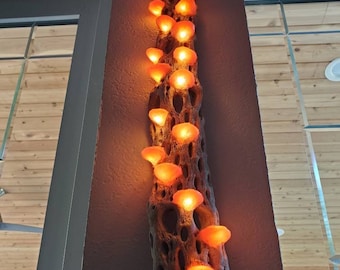 Handmade 18-20" Copper Wall Hanging Mushroom Cholla LED Lamp