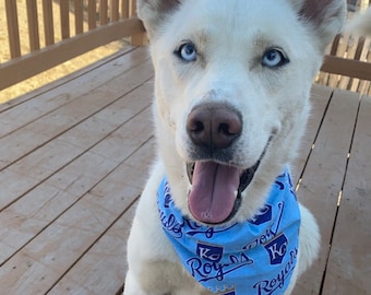 Royals dog bandana, Kansas City Royals dog bandana
