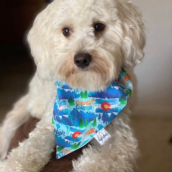 Colorado dog bandana, colorful Colorado dog bandana, Mountain Adventure Awaits dog bandana, adventure awaits dog bandana