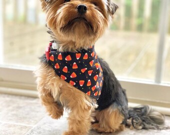 Candy Corn Halloween dog bandana, Halloween dog bandana