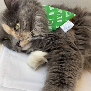 Naught or Nice Christmas Bandana