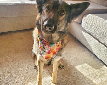Tie dye dog bandana, tie dye scrunchie, tie dye wristlet '