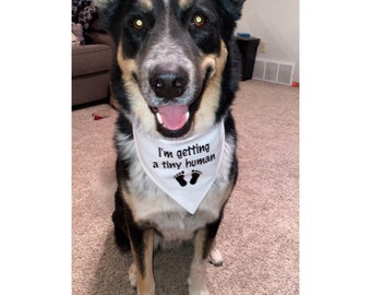 pregnancy announcement bandana, pregnancy dog bandana, I'm getting a Tiny Human Dog bandana
