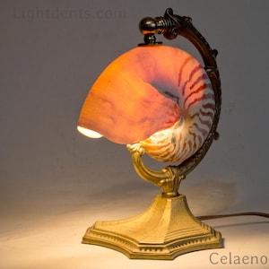Lampe Shell super100 - Décoration
