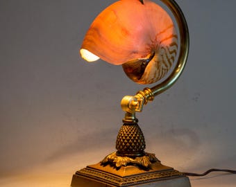 Nautilus Shell accent light lamp. Vintage solid brass base.