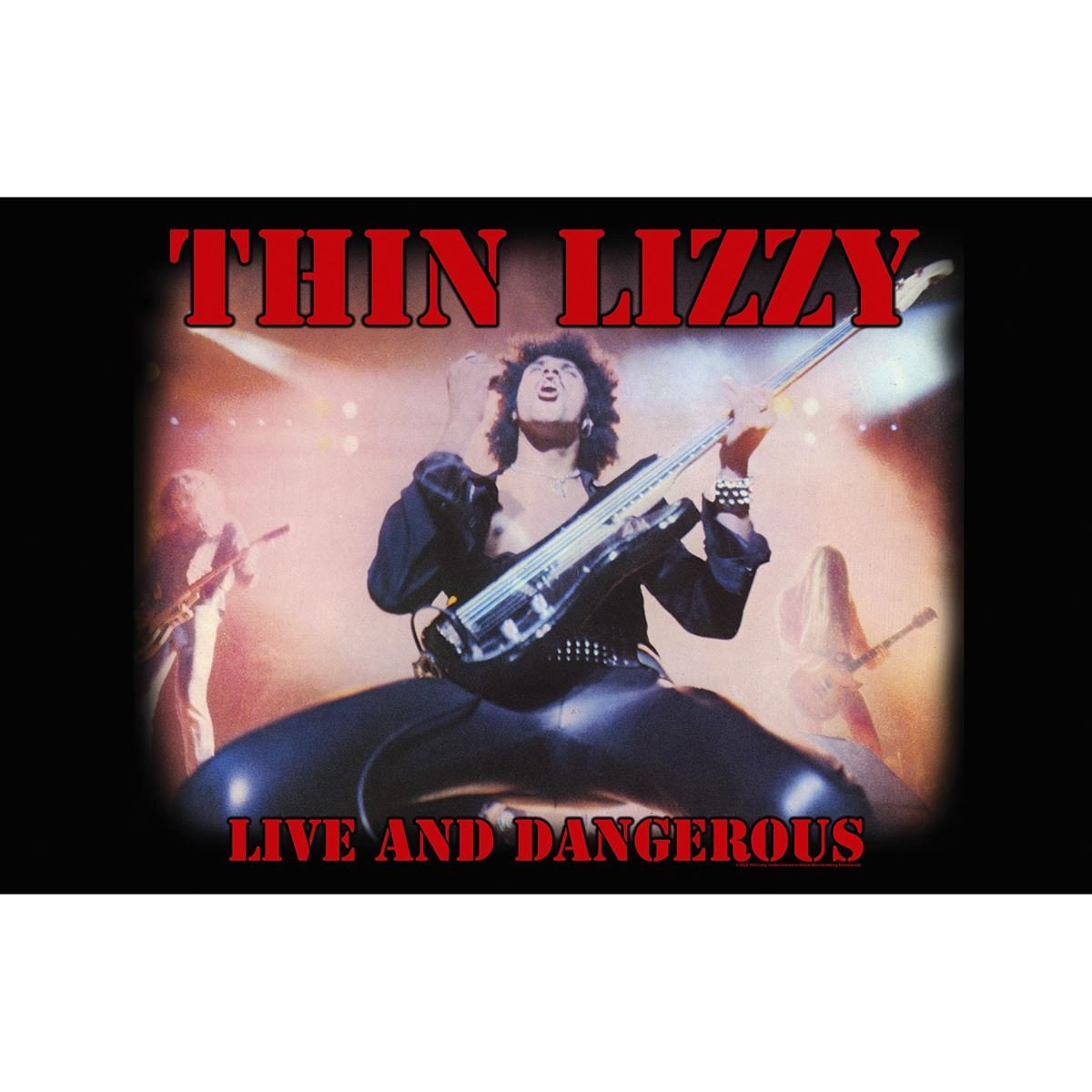 Thin Lizzy Live and Dangerous Official Textile Poster / Flag - Etsy