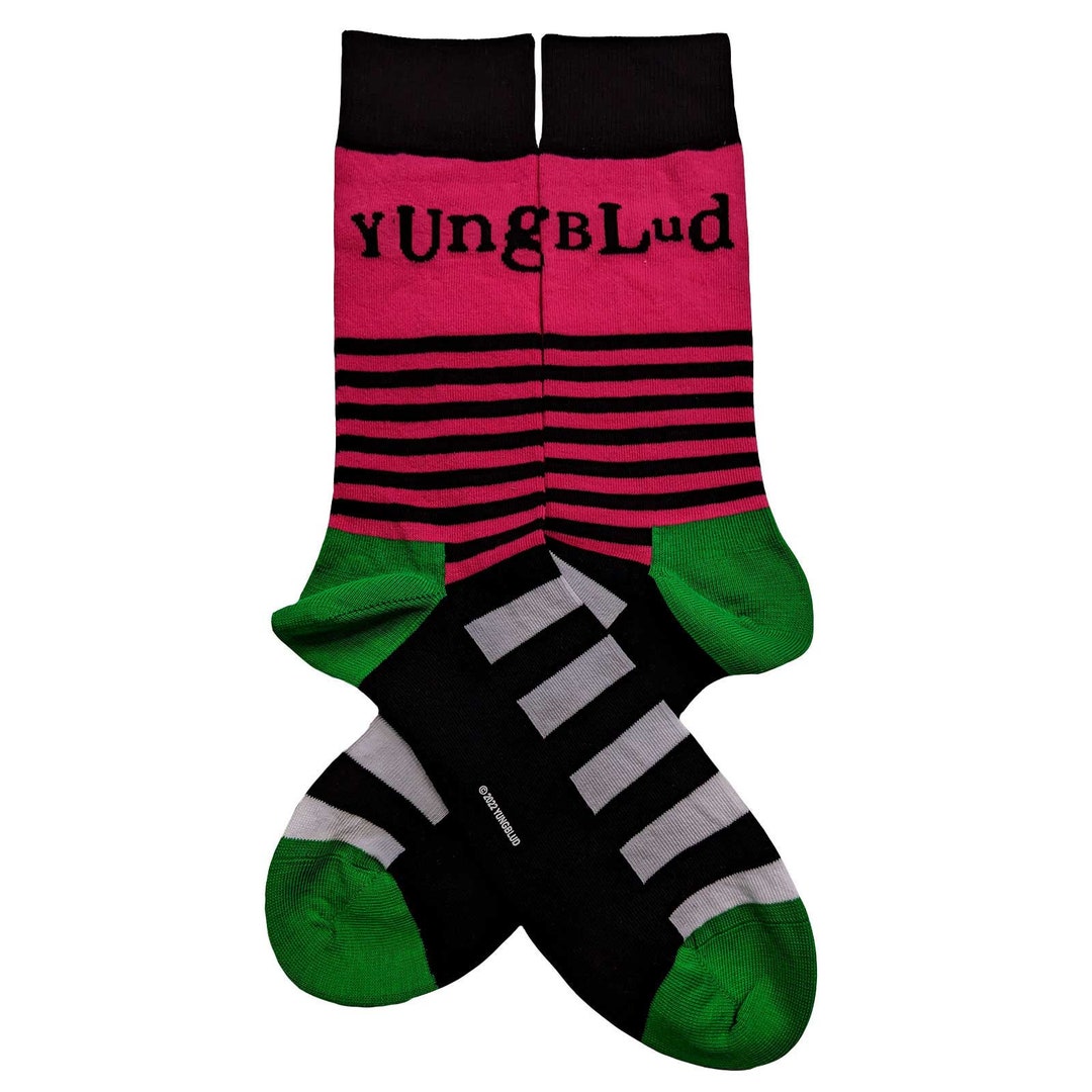 YUNGBLUD 6 Different Pairs of Socks Etsy