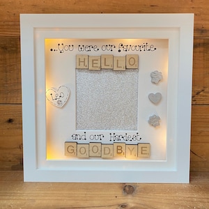 LED Light Box Frame Photo Frame in Memory Gift Pet Bereavement Gift Cat ...