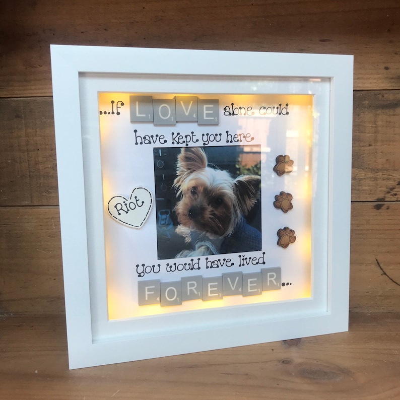 LED light box frame | Pet Bereavement | Animal Remembrance Gift | Pet loss Gift | Dog and Cat Remembrance Gifts 画像 11