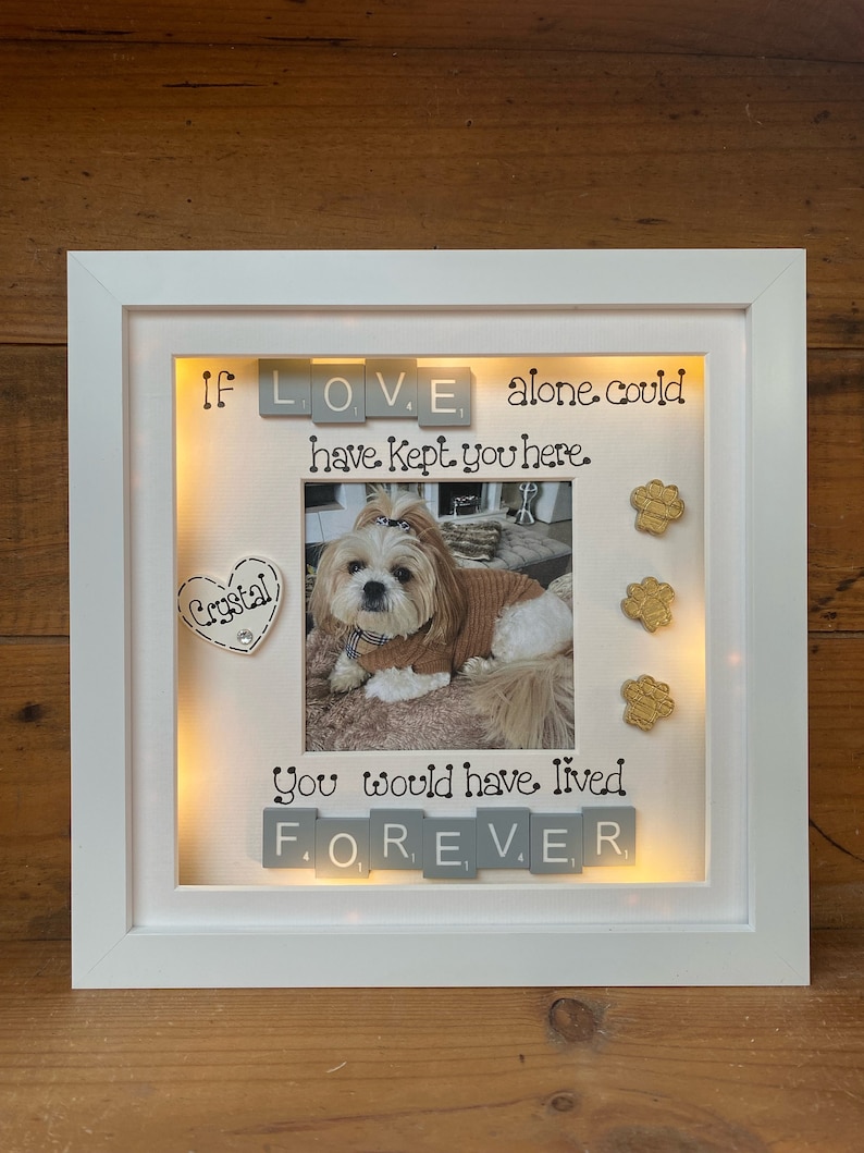 LED light box frame | Pet Bereavement | Animal Remembrance Gift | Pet loss Gift | Dog and Cat Remembrance Gifts 画像 4