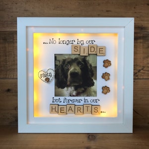 LED light box frame | Pet Bereavement | Animal Remembrance Gift | Pet loss Gift | Dog and Cat Remembrance Gifts 画像 5