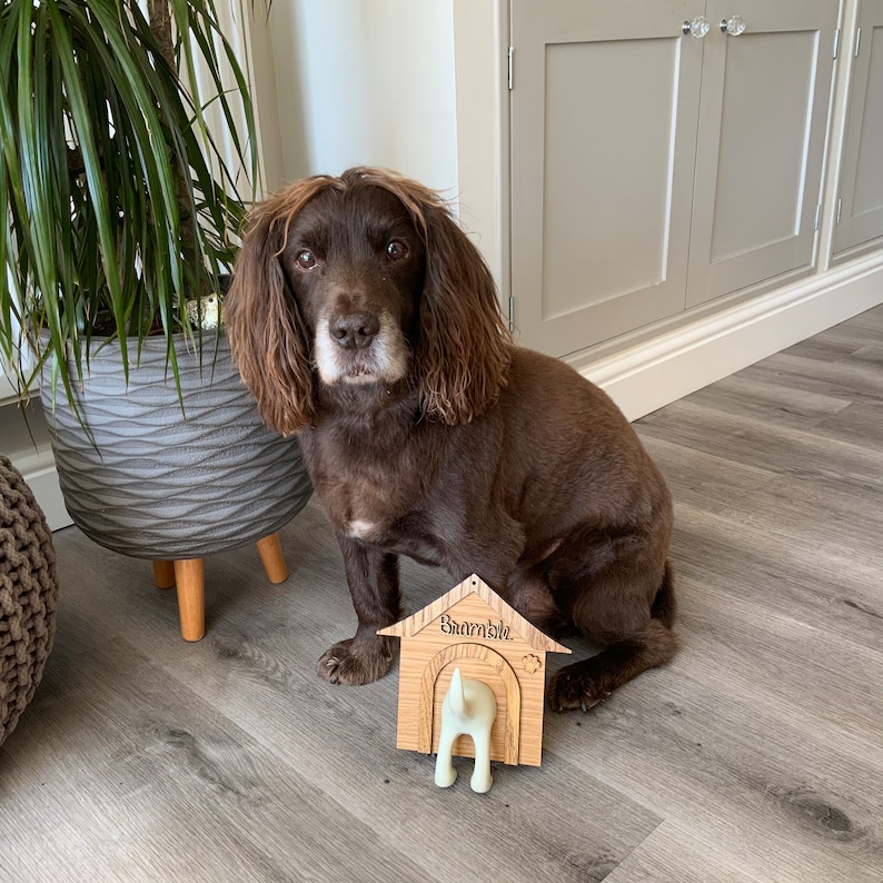 May include: A brown and white dog sits in front of a wooden dog house with the name "Barnsdale" engraved on it. The dog house has a white plastic dog tail sticking out of the back.