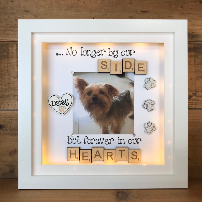 LED light box frame | Pet Bereavement | Animal Remembrance Gift | Pet loss Gift | Dog and Cat Remembrance Gifts 画像 10
