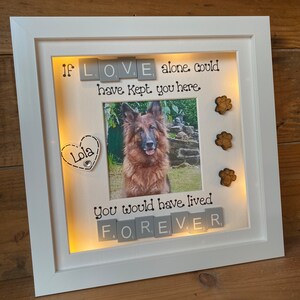 LED light box frame | Pet Bereavement | Animal Remembrance Gift | Pet loss Gift | Dog and Cat Remembrance Gifts 画像 7