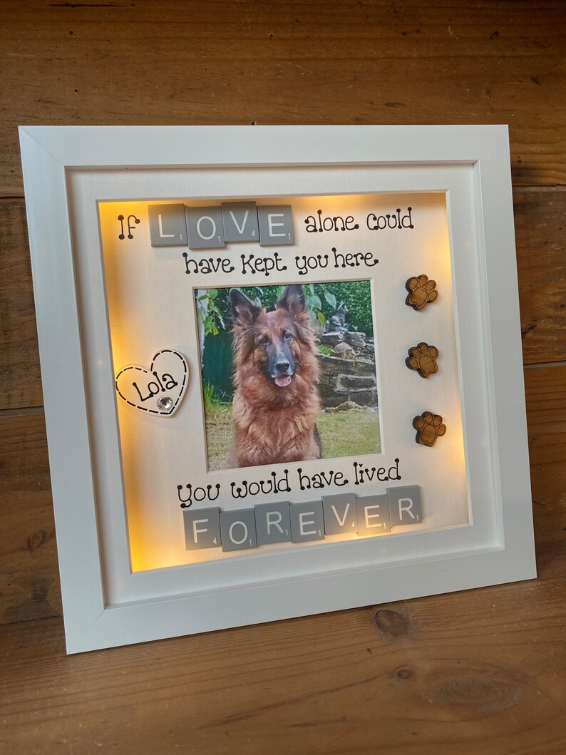 LED light box frame | Pet Bereavement | Animal Remembrance Gift | Pet loss Gift | Dog and Cat Remembrance Gifts 画像 7
