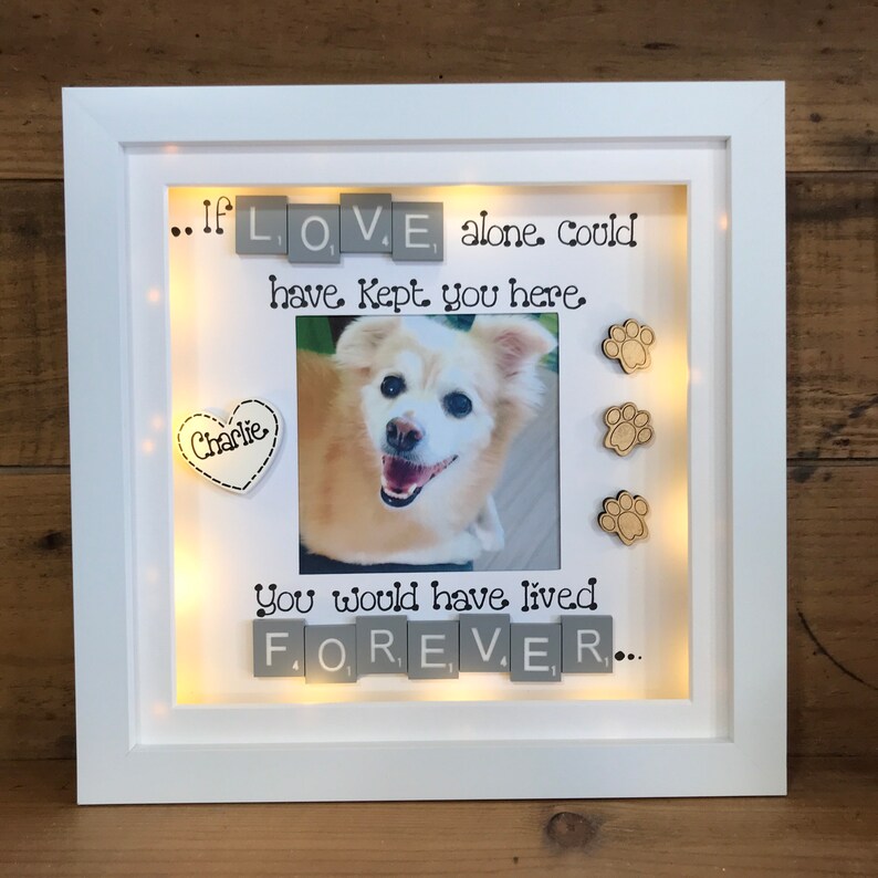 LED light box frame | Pet Bereavement | Animal Remembrance Gift | Pet loss Gift | Dog and Cat Remembrance Gifts 画像 8