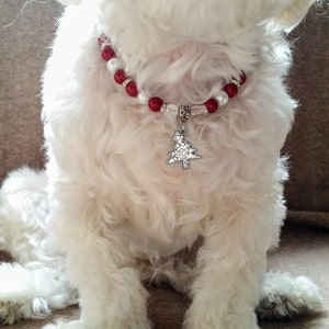 SnowWhite And Hot Red Pearl Beads, Stunning Elegant Design Necklace, Cat & Dog Collar, Fancy Pet Collar, with Christmas Tree Charm