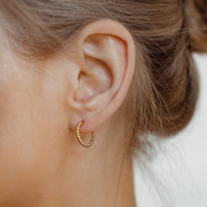 Twisted Hoop Earrings Gold Plated Sterling Silver | Women Delicate Round Earrings