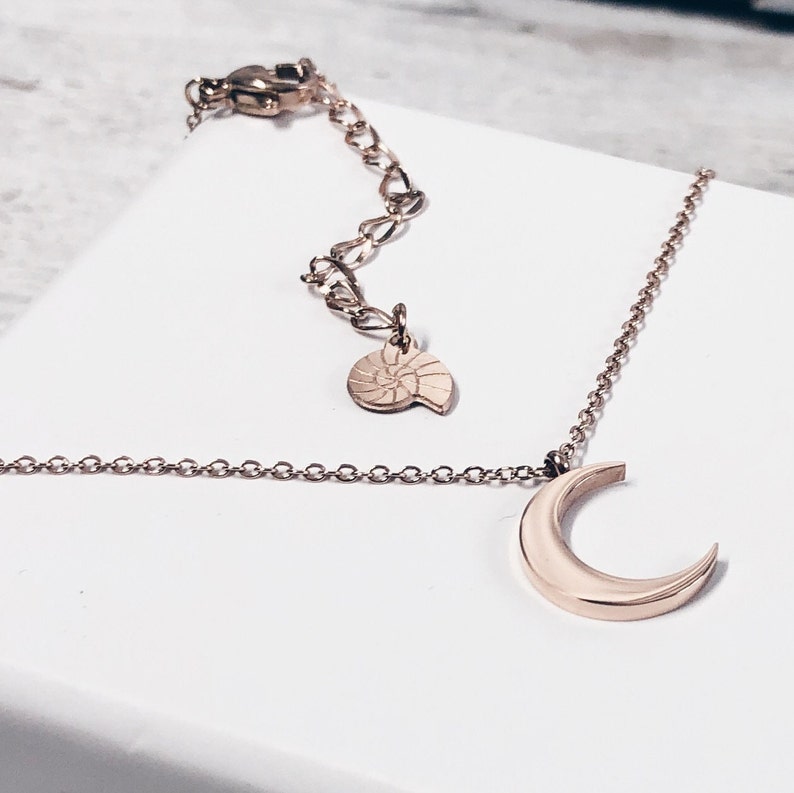 Halve maan ketting zilverkleur Delicate halve maan hanger ketting verkrijgbaar in 3 kleuren Rose gold