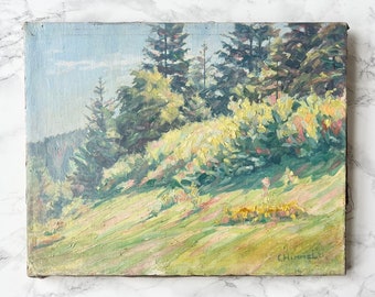 Antique original French Impressionist oil on canvas showing a landscape of forests and clearings - Signed C. Himmel and dated 21 lower right