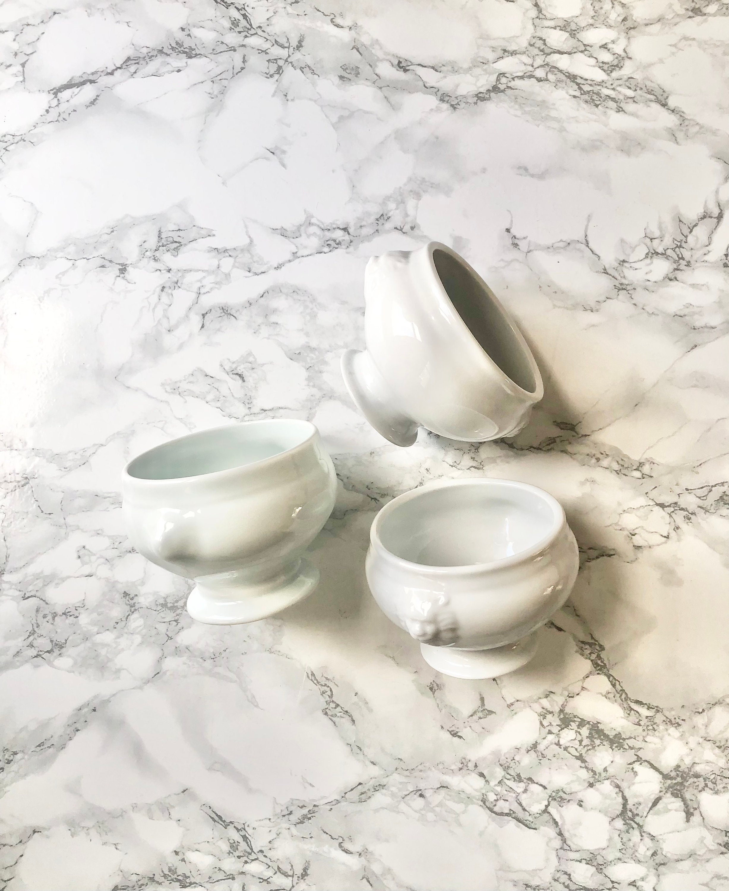 4 Bols à Soupe L'oignon en Porcelaine Blanche Moulée de Têtes Lions