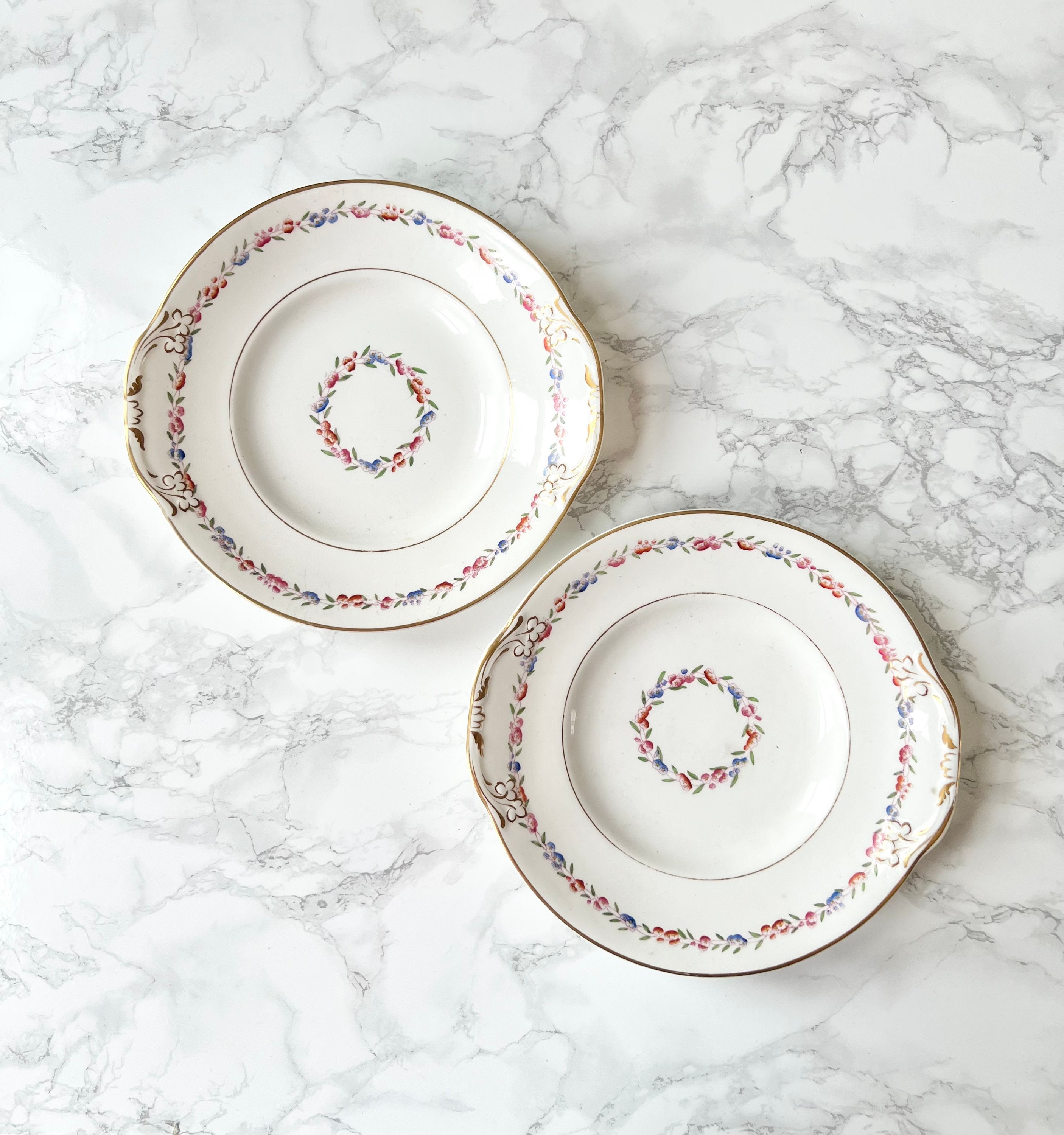 Paire de Plats Ronds Ancien en Porcelaine à Décor Fleurs Peintes La Main