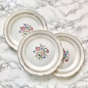 Digoin Sarreguemines - Large old earthenware flat plate decorated with flowers - Lilitia model