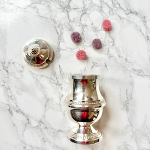 Peut inclure: Un récipient argenté orné avec un couvercle, possiblement un sucrier ou un porte-condiments. Le récipient a une forme bombée avec des bordures perlées décoratives. Plusieurs petits bonbons ronds et colorés sont dispersés.