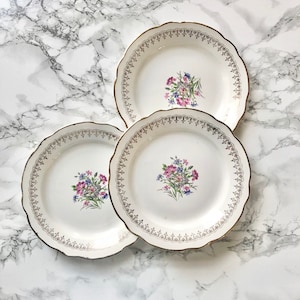 Old earthenware dessert plate with flower decoration - Lilitia model Digoin Sarreguemines -  terre de fer antique French pottery plate