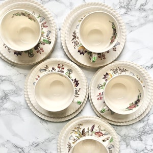 Johnson Brothers - 5 Tea Cups, Saucers & Cake Plates with Flower decor