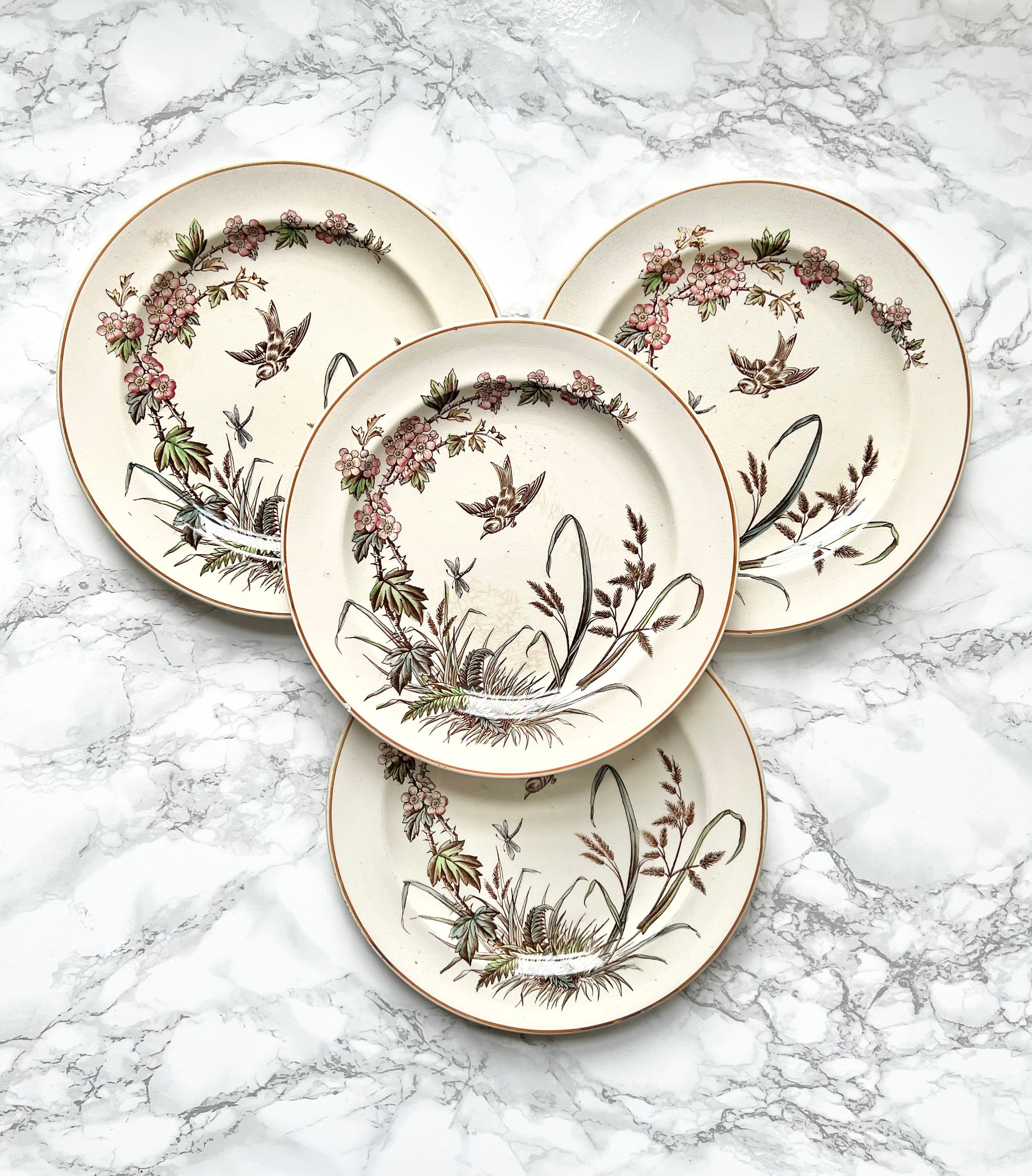 4 Rares Assiettes en Porcelaine Anglaise Imprimée et Peintes à La Main d'oiseaux Dans Des Végétaux