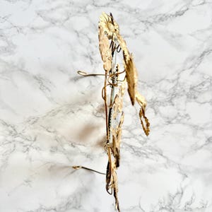 May include: A gold-colored metal floral headpiece with a sunflower and leaf design. The headpiece has a wire frame and is displayed against a marble background.