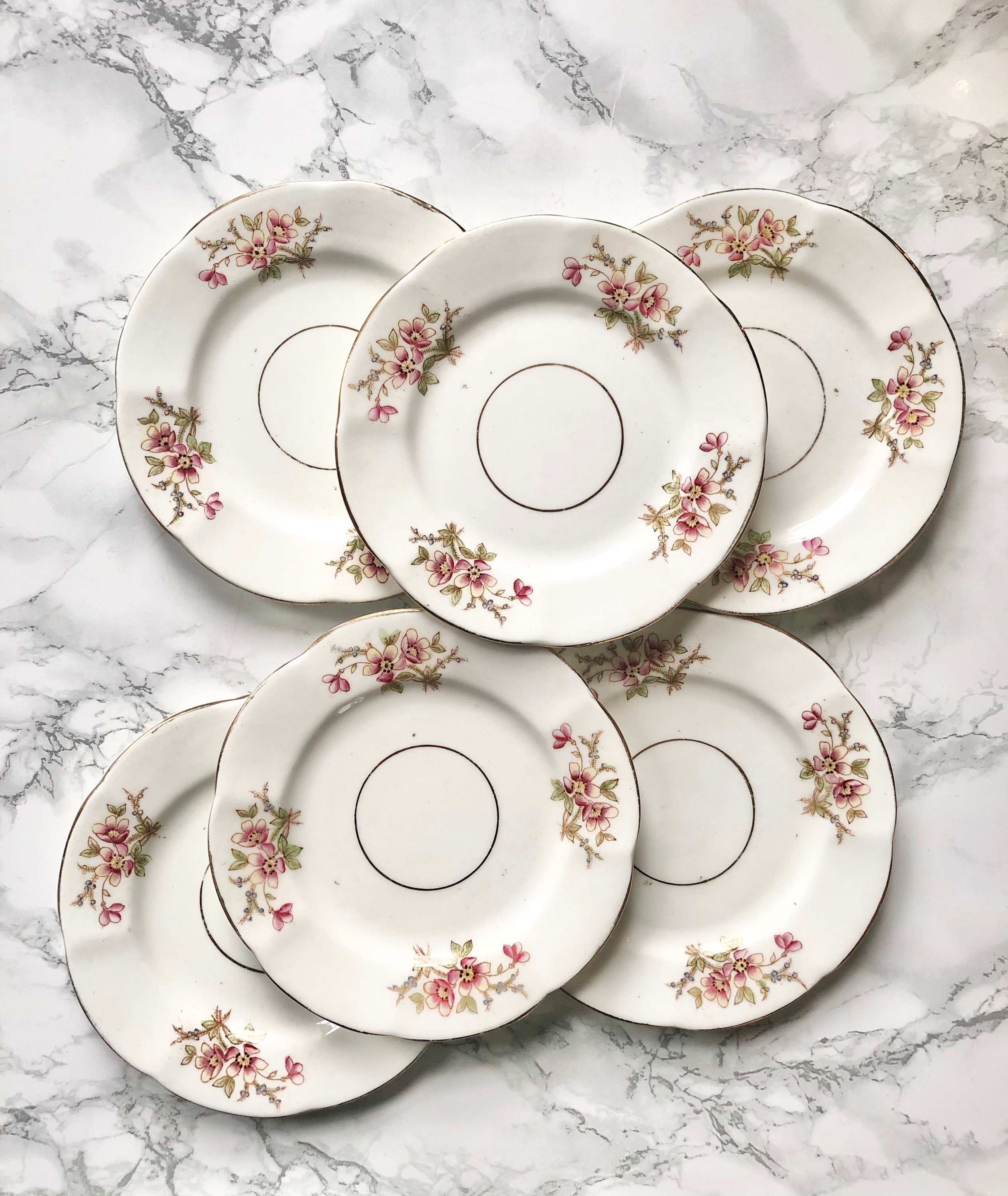 Ensemble de 6 Petites Assiettes Anciennes en Porcelaine à Décor Fleurs