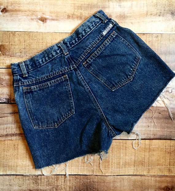 90s High Waisted Shorts - image 3