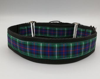 Lurcher Greyhound Saluki Whippet Martingale Dog Collar Mackenzie Tartan adjustable Blackrock Rosie