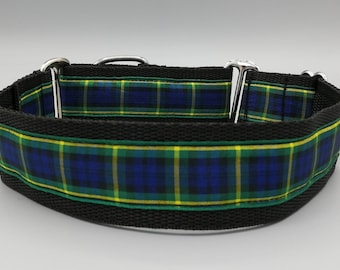 Gordon Tartan Martingale Dog Collar – Greyhound Whippet Lurcher Collar