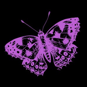 butterfly digital prints - color set of 5, black background
