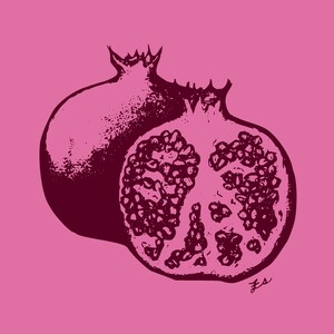 pomegranate digital prints - color set of 4