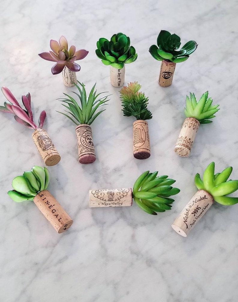 Individual Wine Cork Succulent Refrigerator Etsy