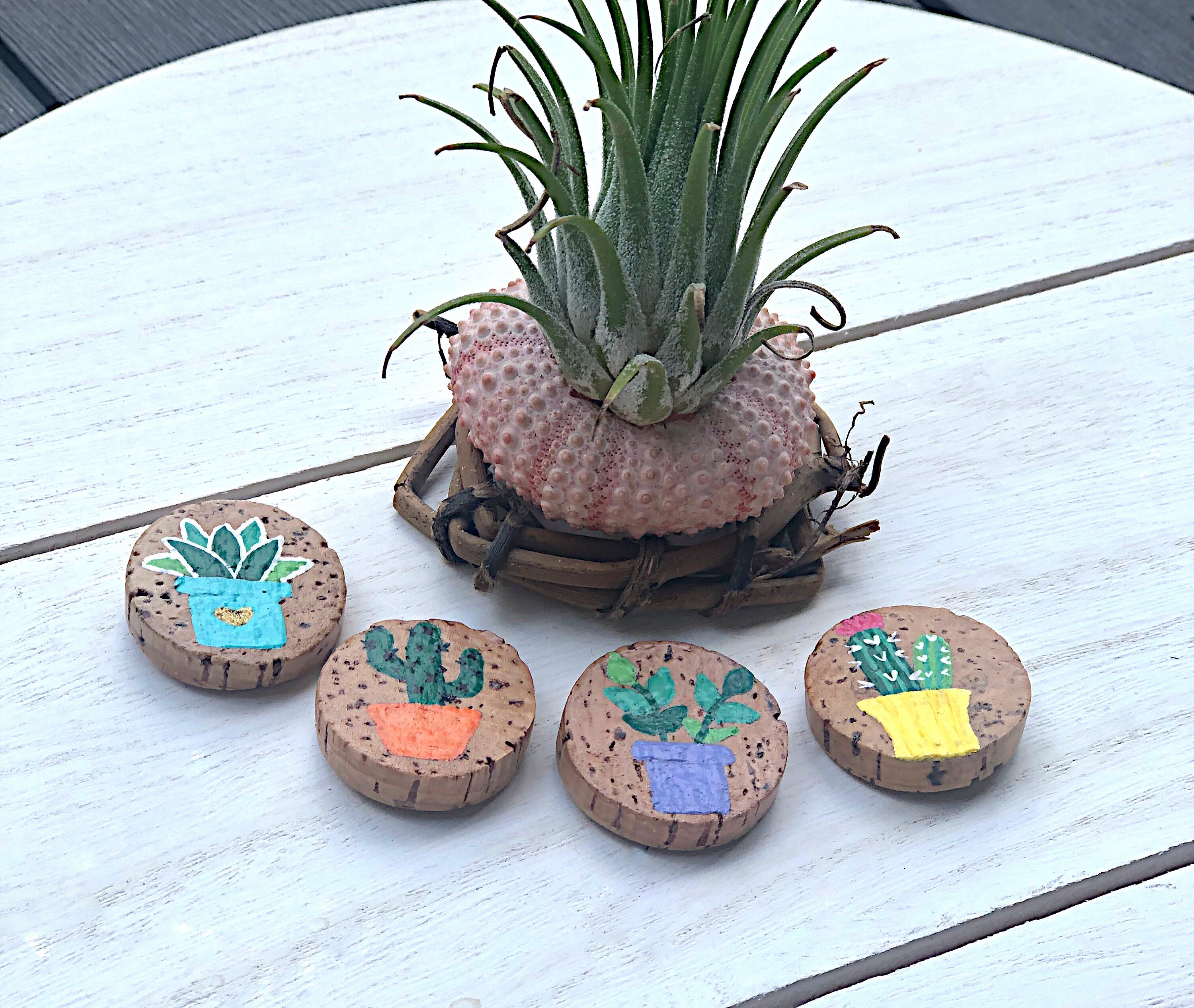 Succulent Set of 4 Plant Refrigerator Etsy