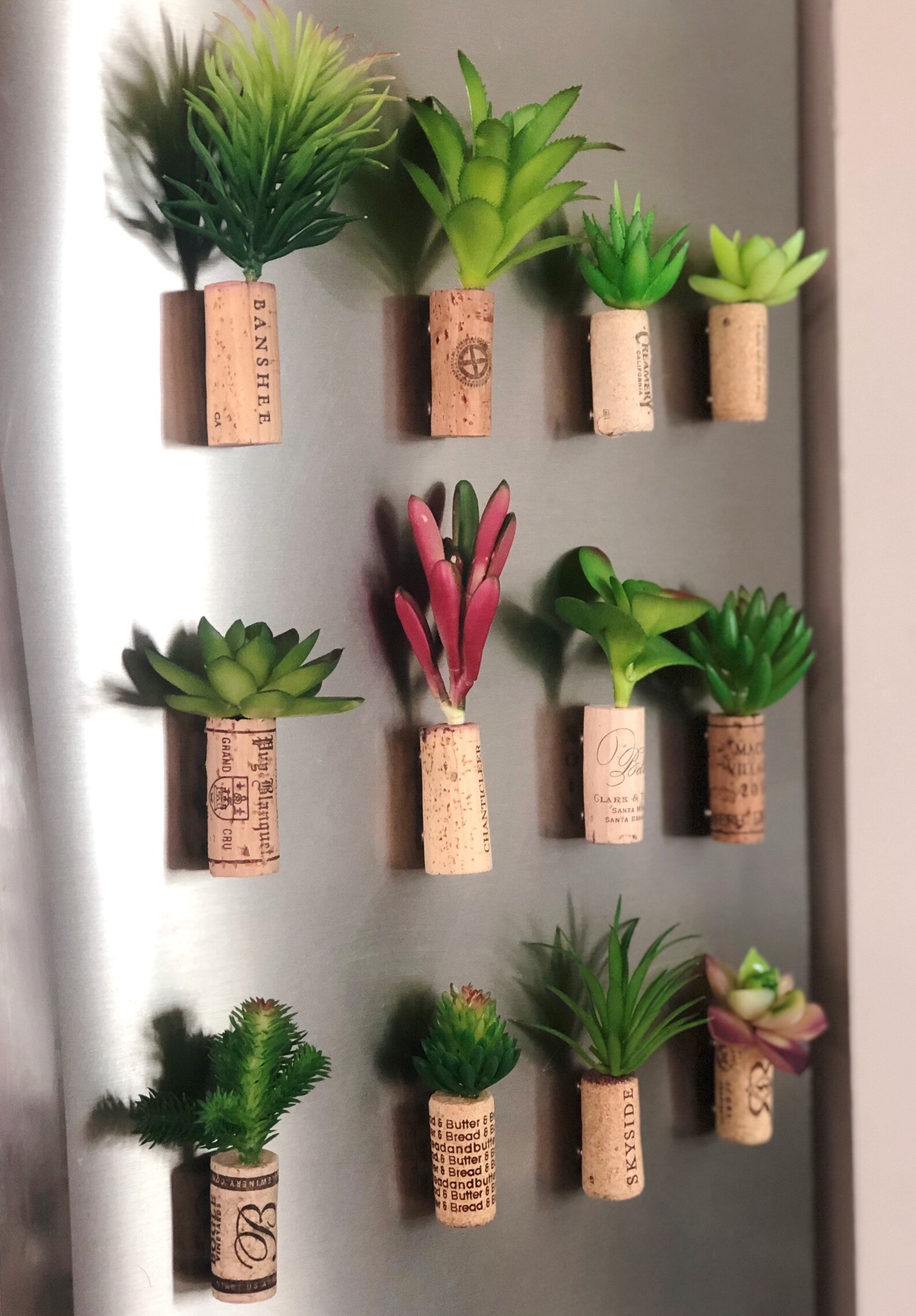 Individual Wine Cork Succulent Refrigerator Etsy