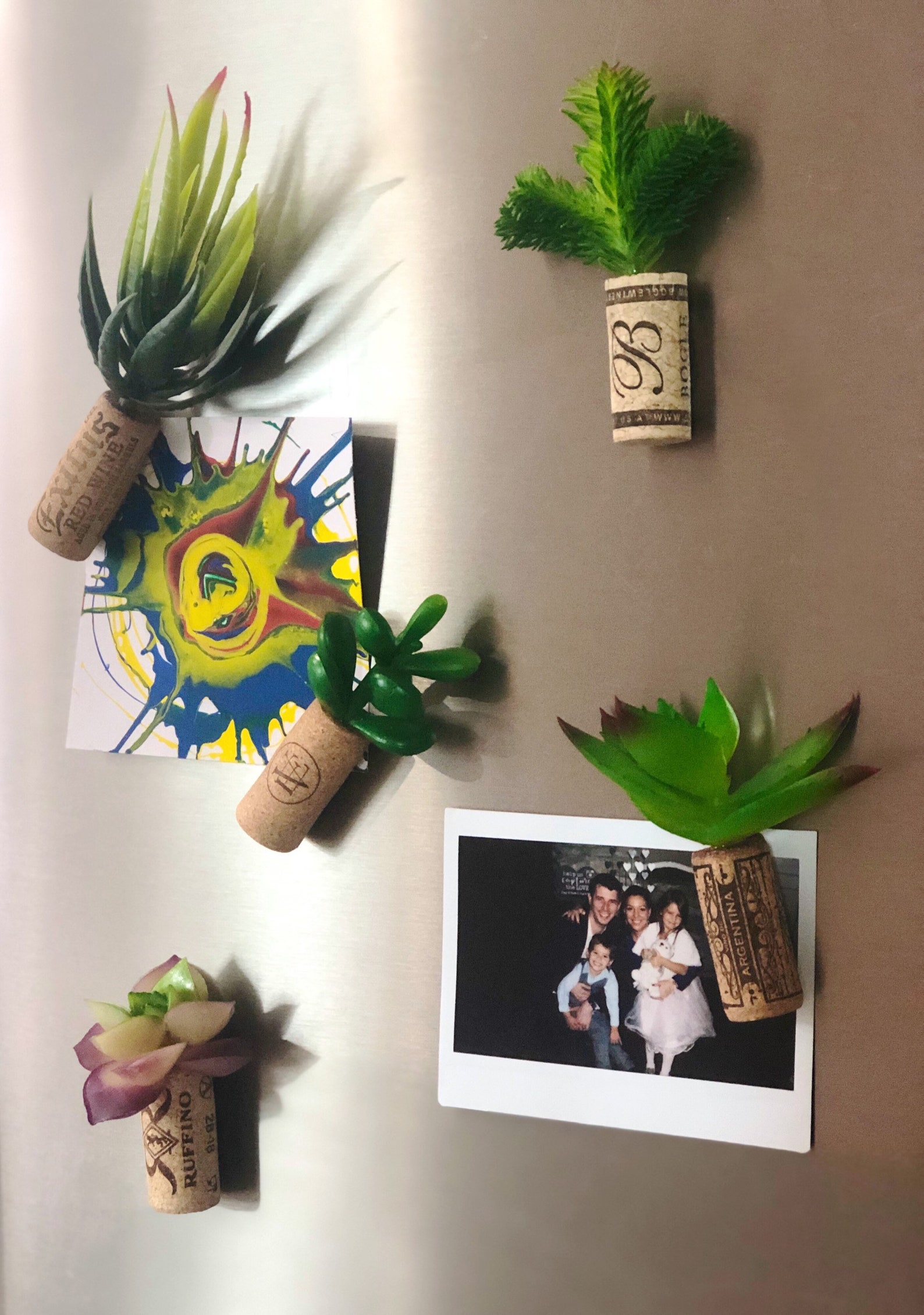 Individual Wine Cork Succulent Refrigerator Etsy