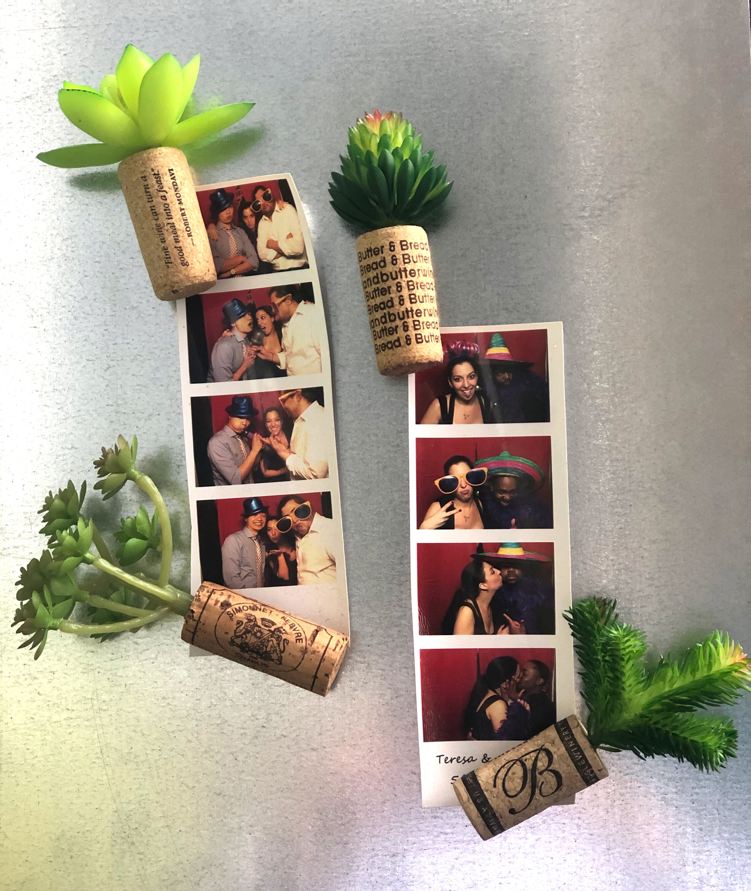 Individual Wine Cork Succulent Refrigerator Etsy