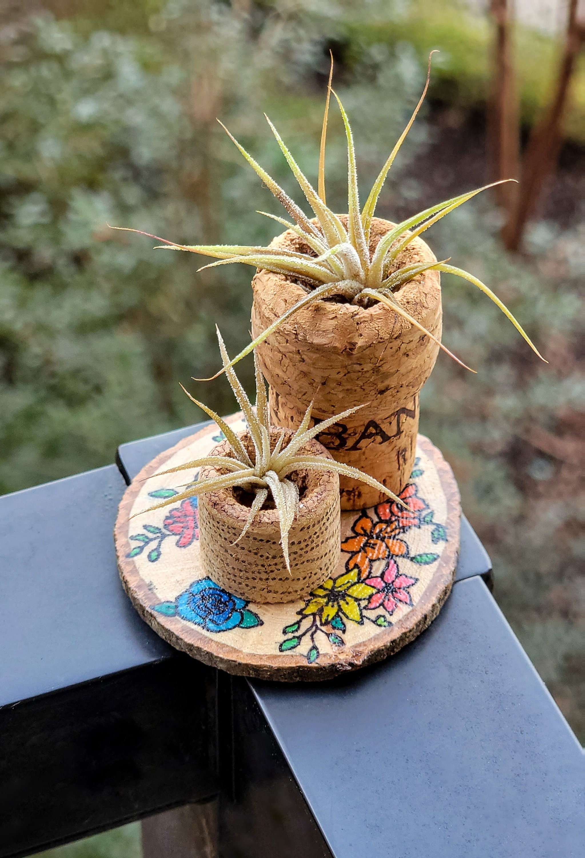 Wine Cork Air Plant Holder Air Plant Display Floral Upcycled Etsy