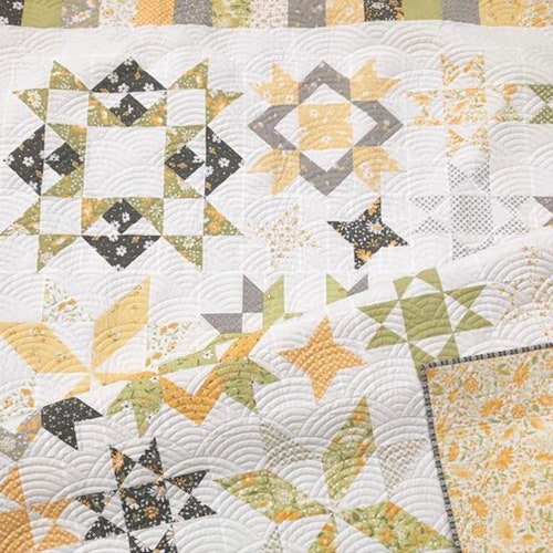 Buttercup & Slate Fat Quarter Bundle shops by Corey Yoder / Moda Fabrics