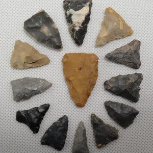 May include: A collection of various stone arrowheads arranged in a circular pattern. The arrowheads display a range of colors, including black, gray, tan, and brown. Each arrowhead has a distinct shape and texture, showcasing the craftsmanship of ancient tools.