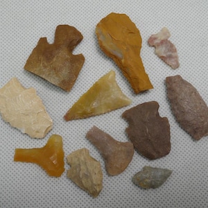 May include: A collection of various ancient stone arrowheads and tools in shades of brown, tan, yellow, and gray. The artifacts vary in shape and size, showcasing different designs and textures. Some have notched edges, while others are more elongated.